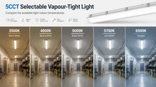 4-FT LED Vapour-Tight Light – 25W–50W, 5CCT, Integrated Sensor