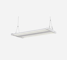 CH-LH-W150-4FT-100-347V