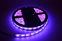 5M 12V DC SMD 5050 METER ROLL FLEXIBLE LED STRIP
