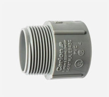 1 in. PVC Male Terminal Adapter