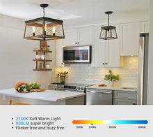 Dimmable E26 Edison Bulb