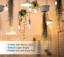 Dimmable E26 Edison Bulb