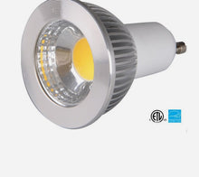 LED Bulbs and Spot Lamps
