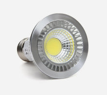 LED Bulbs and Spot Lamps