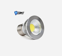 LED Bulbs and Spot Lamps