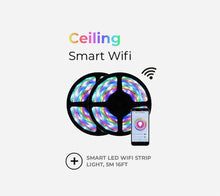 Smart LED light with Alexa Echo - 5m/10m