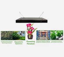 2 ft. 4-Bulb T5 High Output Copper Fluorescent Grow Light Fixture